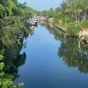 Meet your Posher, Dahlia